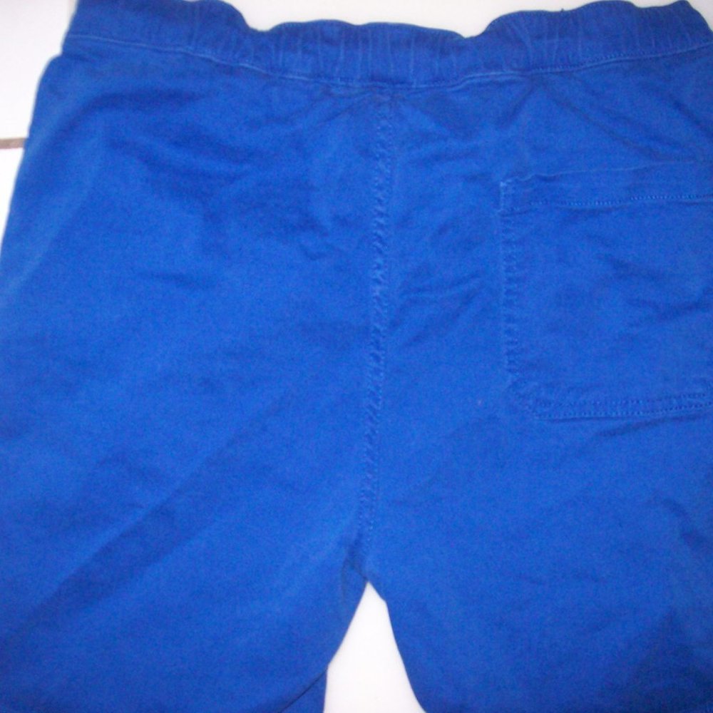 Polo  Shorts with draw string   sz S   size  30  waist